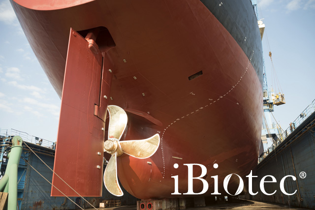 GROEN MARIEN VET SUPER TECH. Extreme druk Anti-slijtage Anti-corrosie. Sterk hechtend, bestand tegen centrifugatie, ook aan zeer hoge snelheid. SMERING ONDER WATER. Conform de specificaties STM 7420 B – GAI, MAN 2232/79     MIL G 24139     NATO G 460. Volledig bestand tegen zoutwaterspatten. Bestand tegen schuifkrachteffecten, trillingen en herhaalde schokken. Niet ontvlambaar Omkeerbaar. groen marien vet voor smering onder water of zeewaterspatten. extreme druk. anti-slijtage. hechtend. groen marien vet, marien vet, lithiumvet, multifunctioneel lithiumvet, multifunctioneel vet, spuitbus vet, multifunctionele spray, multifunctioneel vet in spuitbus, vet hoge snelheid, technisch vet, industrieel vet, hechtend vet, speciaal marien vet. leverancier technische vetten. leveranciers industriële vetten. leveranciers industriële smeermiddelen. fabrikanten technische vetten. fabrikanten industriële vetten. fabrikanten industriële smeermiddelen. Marien vet spuitbus. Marien vet patroon. Spuitbussen voor techniek. Spuitbussen voor onderhoud. Leveranciers van spuitbussen. Fabrikanten van spuitbussen. Marien vet NATO G 460. Marien vet GAI vet voor koppelingen onder water. Industrieel onderhoudsproduct